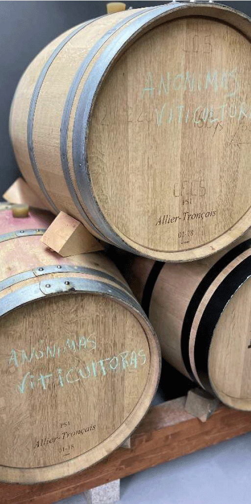 Manejo_Bodega_1-Anónimas_Wines-v1